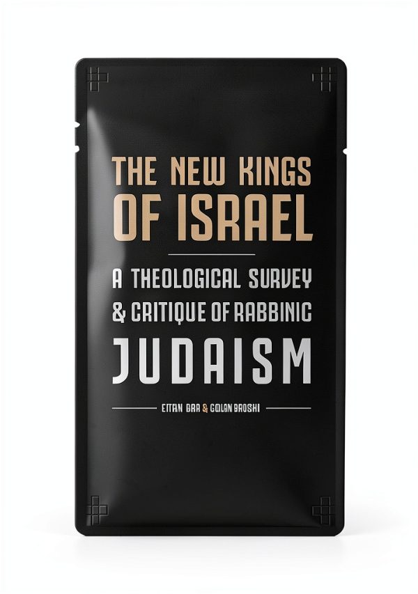 Jewish Perspective Kindle eBook and Messianic Judaism History 286-0